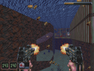 Shadow Warrior
